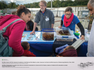 A young women, two children, and a gentleman are interacting with some outdoor nature-based activities at table during the Festival del Río Anacostia. Three individuals are operating the table, which appears to feature information on stream organisms and water tanks with various critters. The Anacostia River is visible in the background.