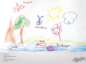 This image shows an illustratio outlining a young artist's interpretation of the Anacostia River. Birds, butterflies, fish, and turtles are illustrated in colored pencils along the river and among trees.